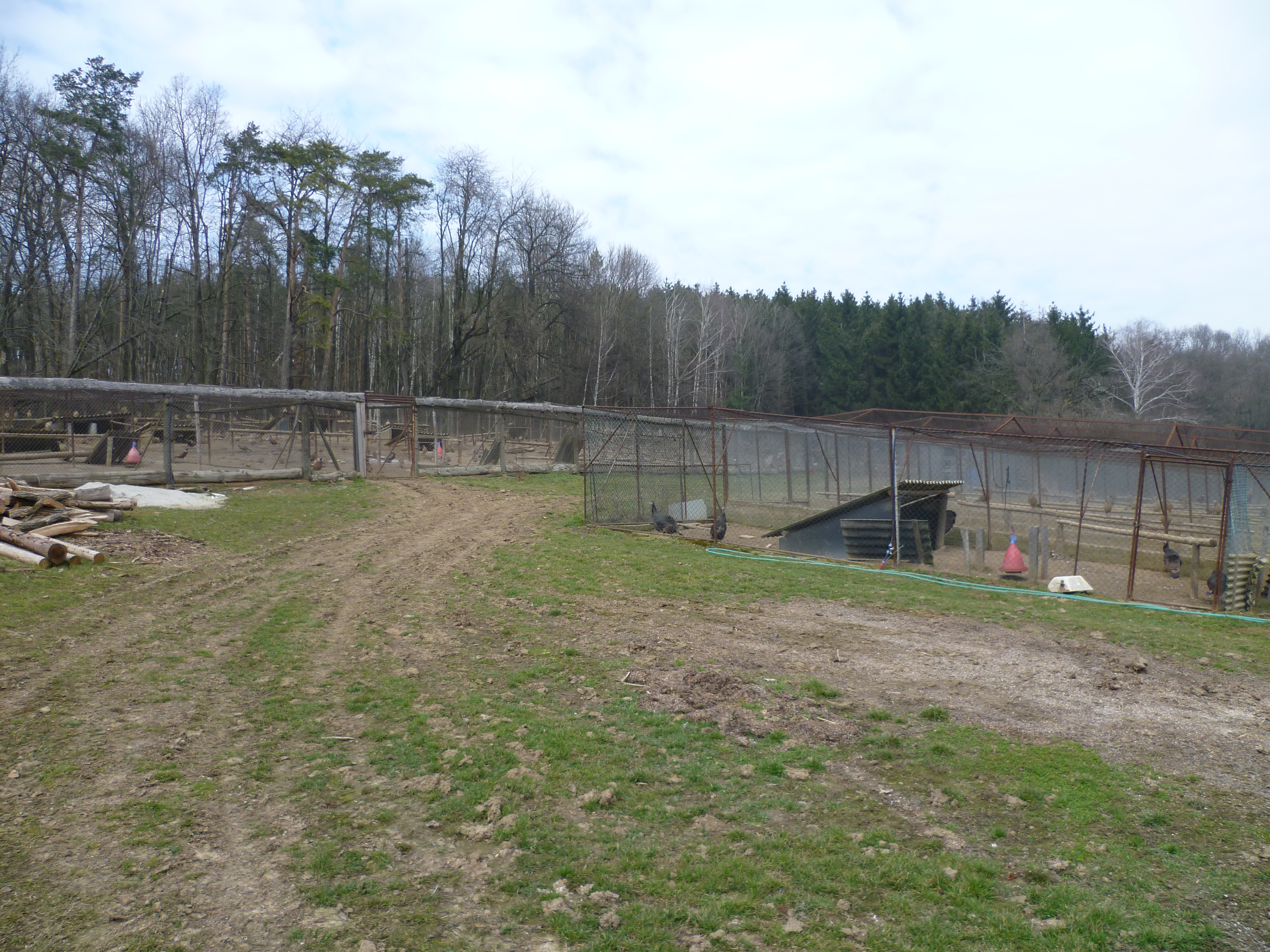 umělá líheň bažantů